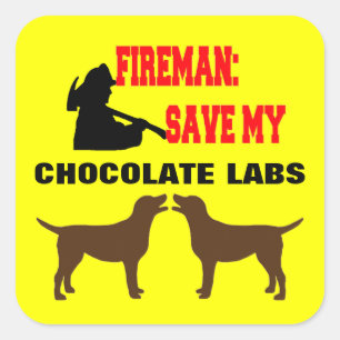 Fireman Save My Two Chocolate Lab Dogs Square Sticker