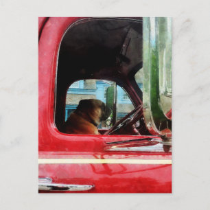 Fireman's Best Friend Postcard