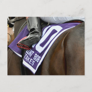 Firenze Fire Saddlecloth Postcard