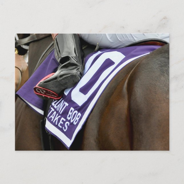 Firenze Fire Saddlecloth Postcard (Front)