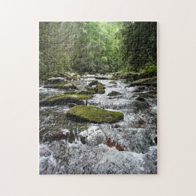 Fires Creek Puzzle (Vertical)