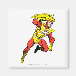 Firestorm Soaring Magnet