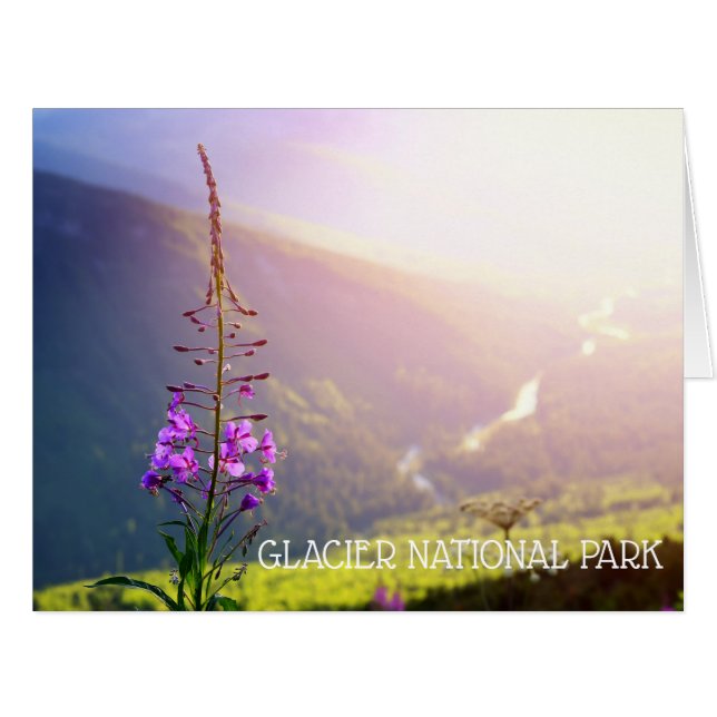 Fireweed at Glacier National Park (Front Horizontal)