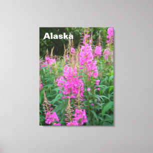 Fireweed Canvas Print