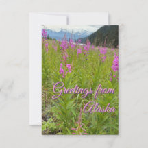 Fireweed Flowers