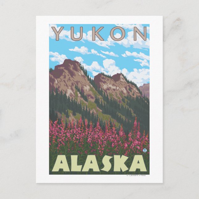 Fireweed & Mountains - Yukon, Alaska Postcard (Front)