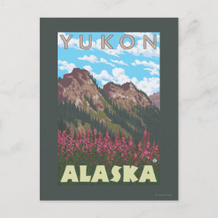 Fireweed & Mountains - Yukon, Alaska Postcard
