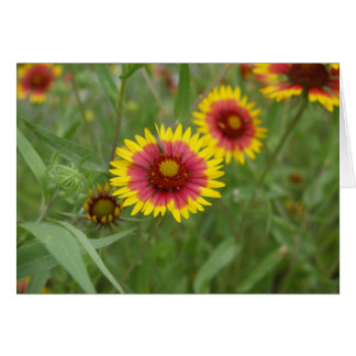 Firewheel