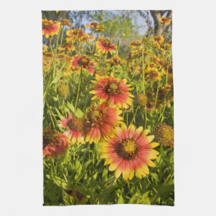 Firewheels Gaillardia pulchella) wildflowers Kitchen Towel