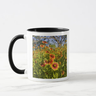 Firewheels Gaillardia pulchella) wildflowers Mug