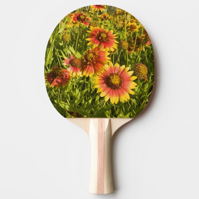 Firewheels Gaillardia pulchella) wildflowers Ping Pong Paddle (Front)