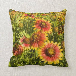 Firewheels Gaillardia pulchella) wildflowers Throw Pillow