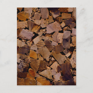 Firewood rustic cabin wood grain tree bark pattern postcard