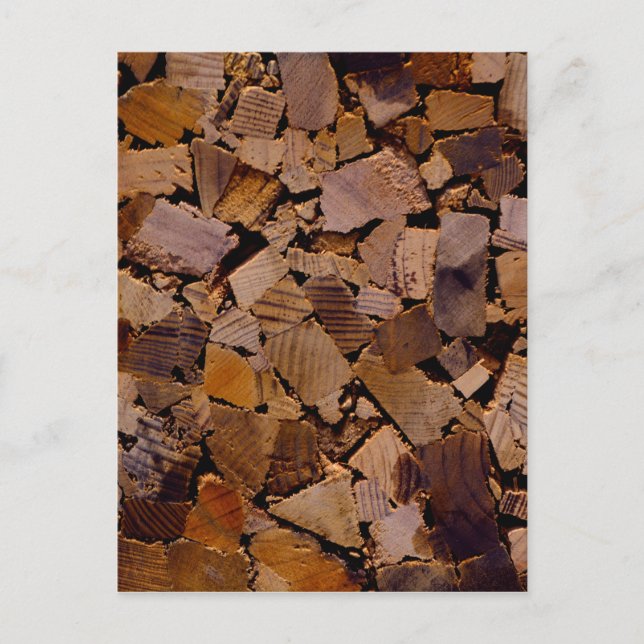 Firewood rustic cabin wood grain tree bark pattern postcard (Front)