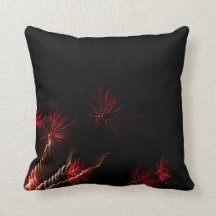Firework 20 Standard Throw Pillow