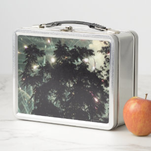Fireworks 13 stainless lunchbox