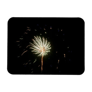 Fireworks 1 magnet