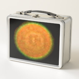 Fireworks 9 stainless lunchbox