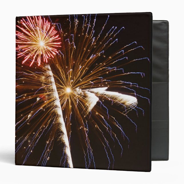 Fireworks display on Savannah River Binder (Front/Inside)