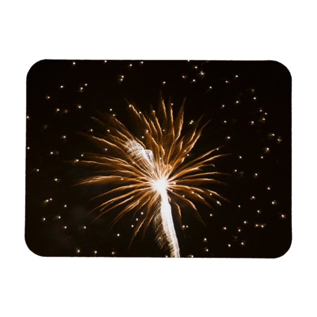 Fireworks display on Savannah River Magnet (Horizontal)