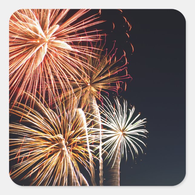 Fireworks P0541 Sticker (Front)