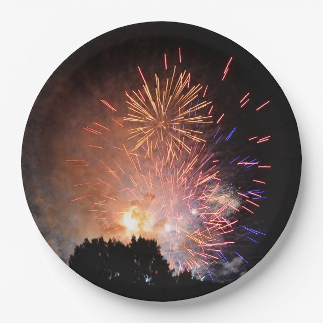 Fireworks Paper Plate (Front)