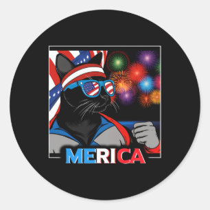 Fireworks Patriotic Black Cat Classic Round Sticker