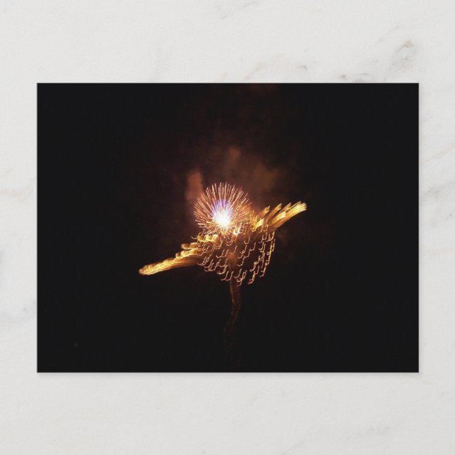 FIREWORKS POSTCARD (Front)
