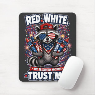 Fireworks Raccoon 4th of July Mouse Pad