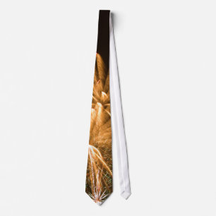 Fireworks Tie