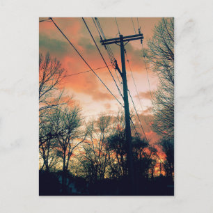 Firey Envy Postcard