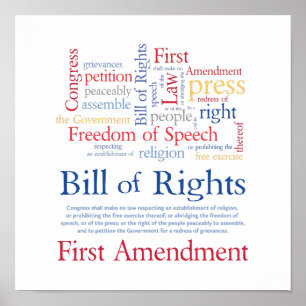 First Amendment Rights - Freedom of Speech Poster