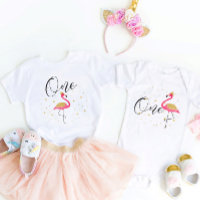First Birthday with Flamingo Baby Girl