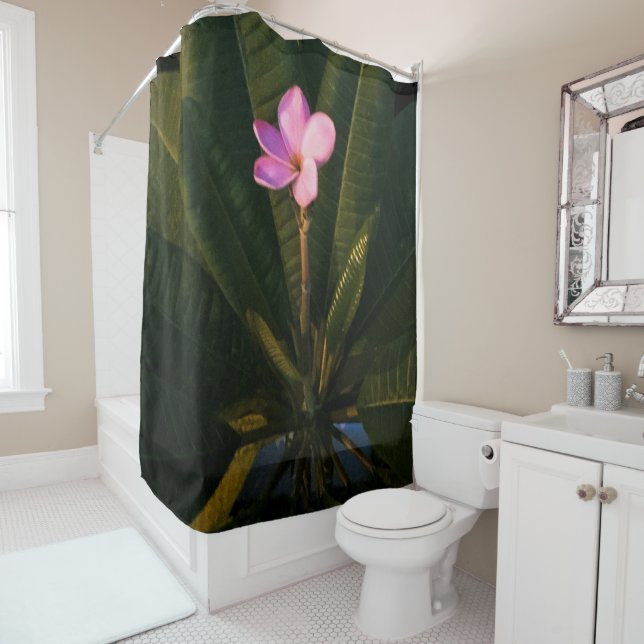 First Bloom, Plumeria (In Situ)