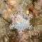 First Christmas Aqua Blue Baby Boy Photo