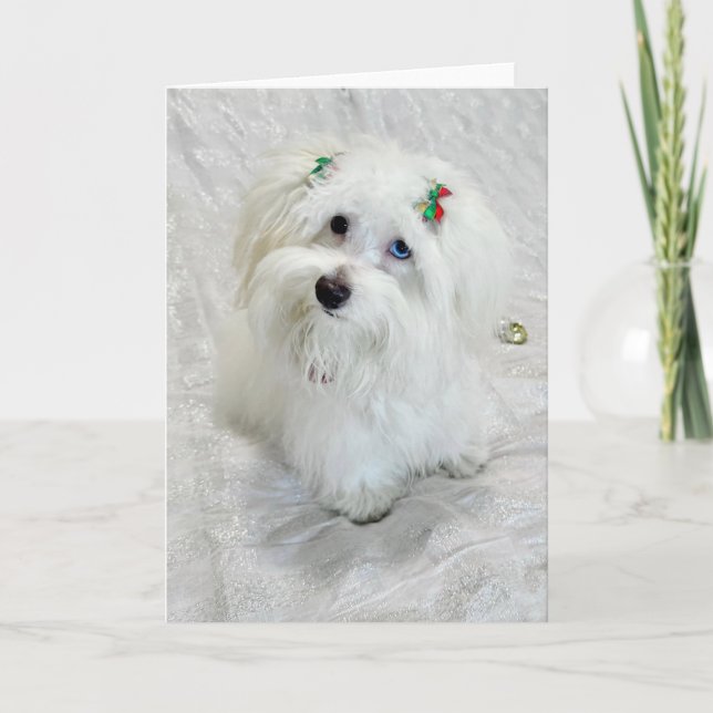 First Christmas  Card (Front)