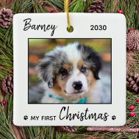 First Christmas Cute Puppy - Simple Dog Pet Photo