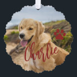 First Christmas dog in forever home photo name red Ornament Card<br><div class="desc">Modern add your pet name dark red burgundy script first Christmas with your dog keepsake tree ornament card.</div>