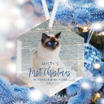 First Christmas Forever Home Pet Photo Blue Glass Ornament<br><div class="desc">Commemorate your pet's first Christmas in their new home with this beautiful modern keepsake ornament. The words "First Christmas" appear in elegant blue script. Replace the sample image with a photo of your cat or dog and add their name and the year in blue sans serif font. A white gradient...</div>