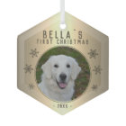 First Christmas Golden Snowflake Dog Photo