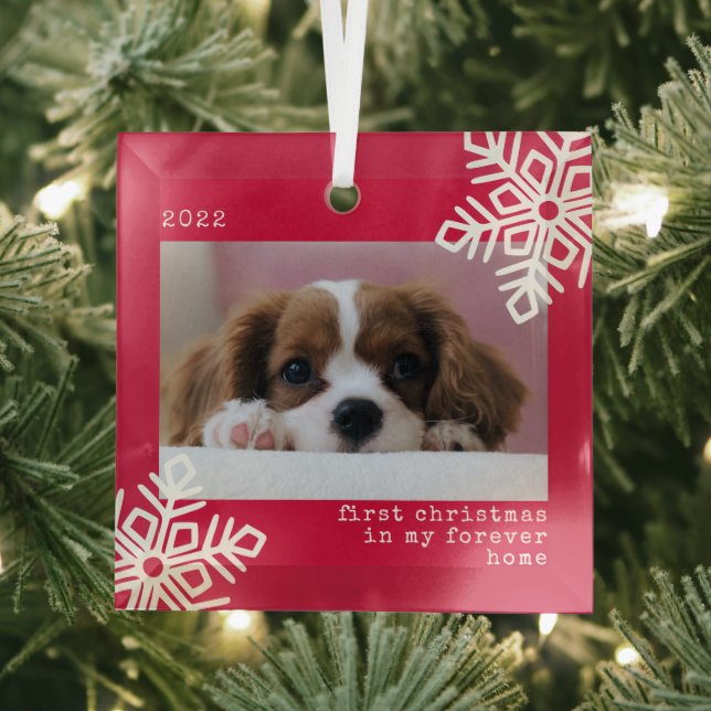 First Christmas In My Forever Home Dog Photo Glass Ornament (Insitu)