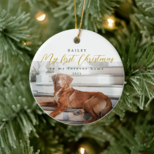 First Christmas in My Forever Home Pet Ceramic Orn Ornament