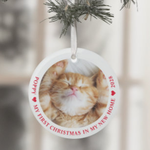 First Christmas New Home Kitten Cat Photo Glass Ornament