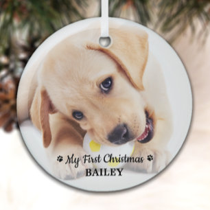 First Christmas Personalized Pet Puppy Photo Dog Glass Ornament