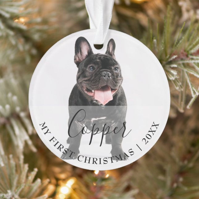 First Christmas Pet 2 Photo Script Name Ornament (Arbre)