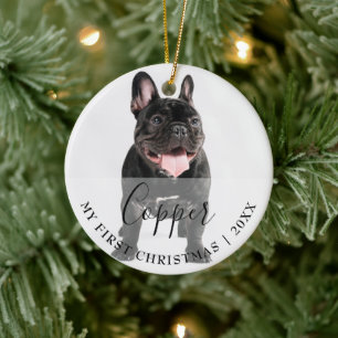First Christmas Pet 2 Photo Script Name Ornament