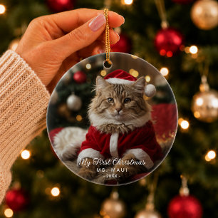 First Christmas Pet Cat Funny Photo Ornament