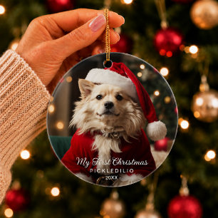 First Christmas Pet Dog Funny Photo Ornament