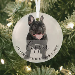 First Christmas Pet Photo Script Name Ornament