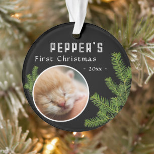 First Christmas Pine Kitten Cat 2 Photo Keepsake Ornament